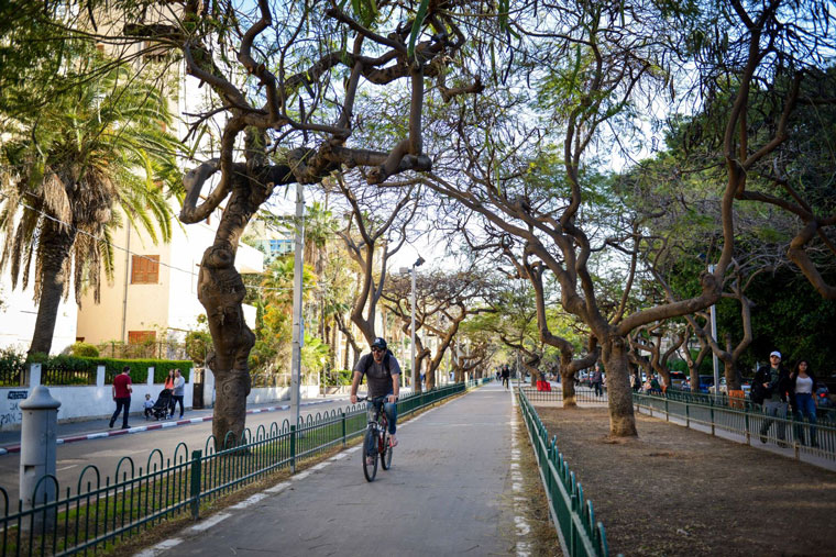 שבת תל אביבית: החוויה שלי
